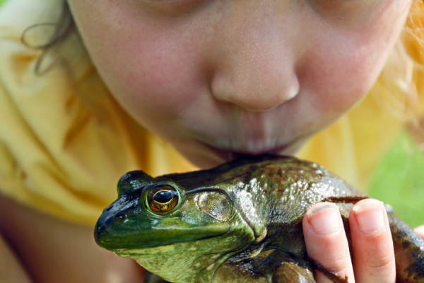 Small pets are delightful, but some carry dangerous bacteria